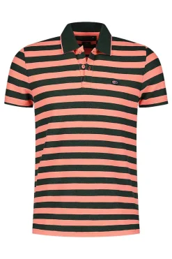 NZA New Zealand Auckland Polo-Shirts|Gestreepte Polo -Chalk Green
